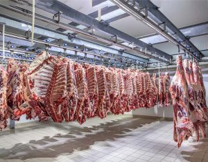 افزایش تولید گوشت گاو و گوسفند با نزدیکی به کریسمس