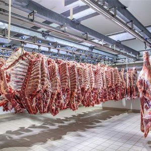 افزایش تولید گوشت گاو و گوسفند با نزدیکی به کریسمس