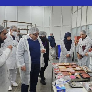 بازدید و نمونه‌گیری از محصولات «دمس شیراز»