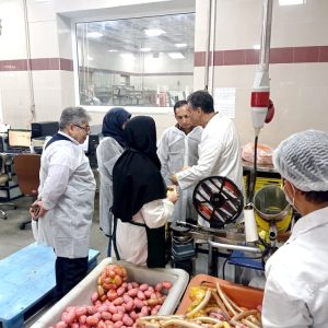 بازدید و نمونه‌گیری از محصولات شرکت «شام شام» شیراز