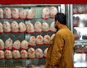 پزشکیان بازار مرغ و نهاده‌های دامی را چگونه تحویل می‌گیرد؟