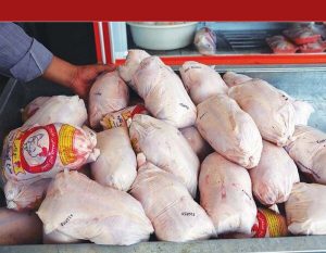 برنامه‌ریزی برای صادرات ماهانه ۲۰ میلیون قطعه مرغ