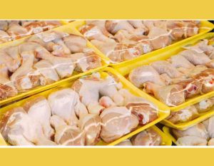 برنامه‌ریزی برای صادرات ۶۰ هزار تن مرغ در نیمه دوم سال