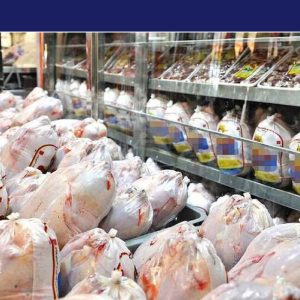 بازار گوشت مرغ به ثبات قیمتی رسید