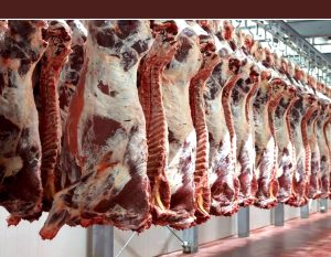 واردات گوشت با هدف توزیع با قیمت مناسب انجام می‌شود