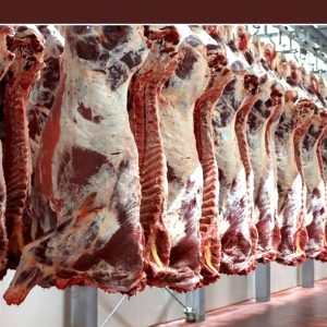 واردات گوشت با هدف توزیع با قیمت مناسب انجام می‌شود