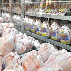 حداکثر قیمت مرغ گرم ۹۰ هزار تومان/ شرایط تولید مناسب است