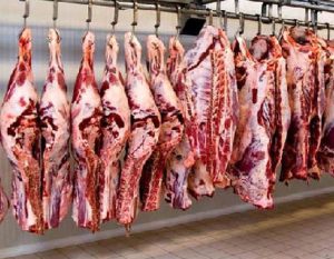 اختصاص یک درصد از ارزش واردات نهاده‌های دامی برای حمایت از تحقق خودکفایی تولید گوشت قرمز