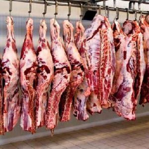 اختصاص یک درصد از ارزش واردات نهاده‌های دامی برای حمایت از تحقق خودکفایی تولید گوشت قرمز