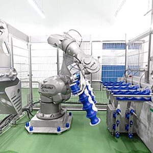 اتوماتیک سازی خط تولید سوسیس