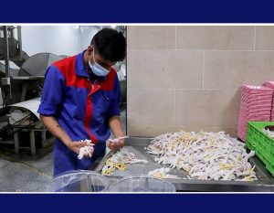 بخشنامه معافیت امعاء و احشاء طیور از مالیات ارزش افزوده ابلاغ شد