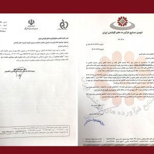 شناسه کالای «ناگت» معاف از ارزش افزوده شد